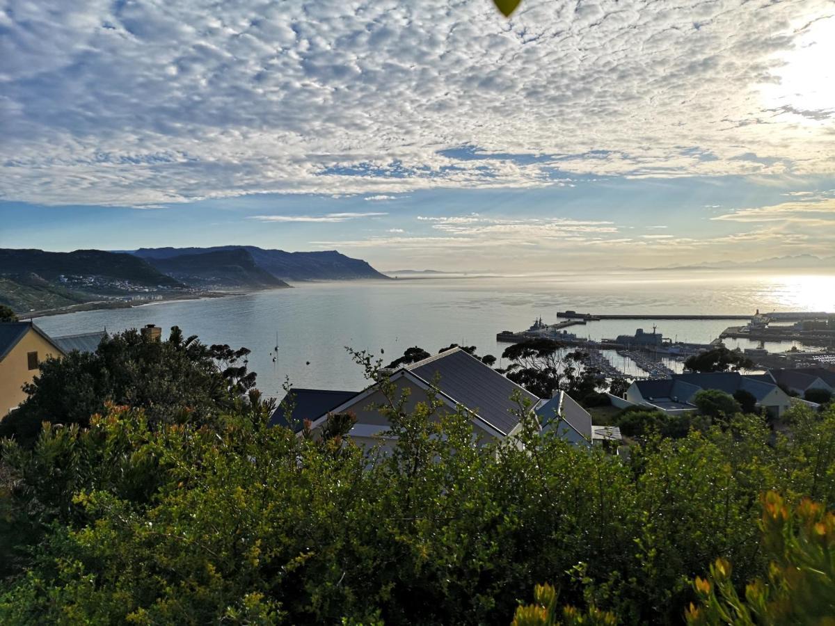 Albatross Guest House Simonʼs Town Kültér fotó